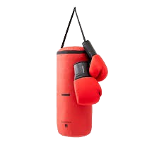 Samsak boxing